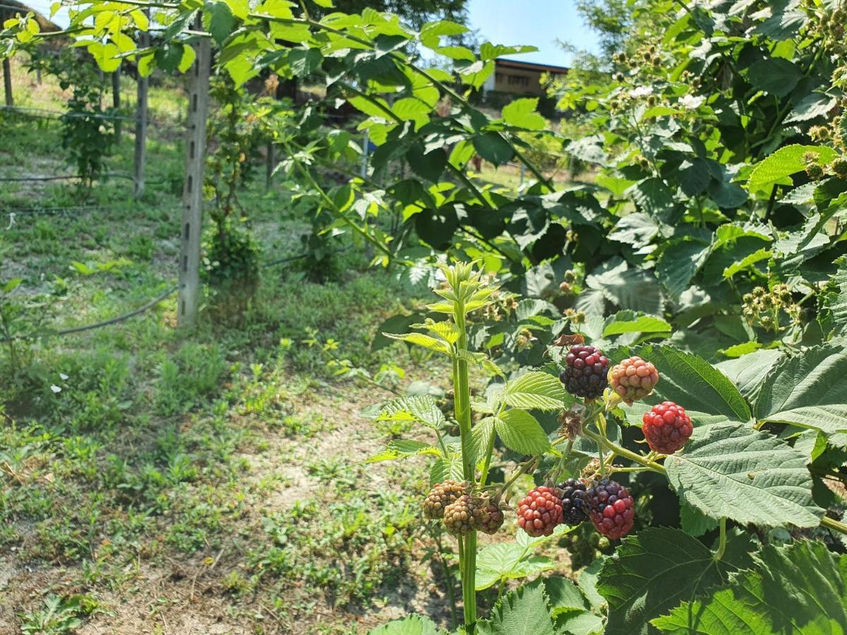 Agriturismo Il Burlino Apartments Lerma 외부 사진