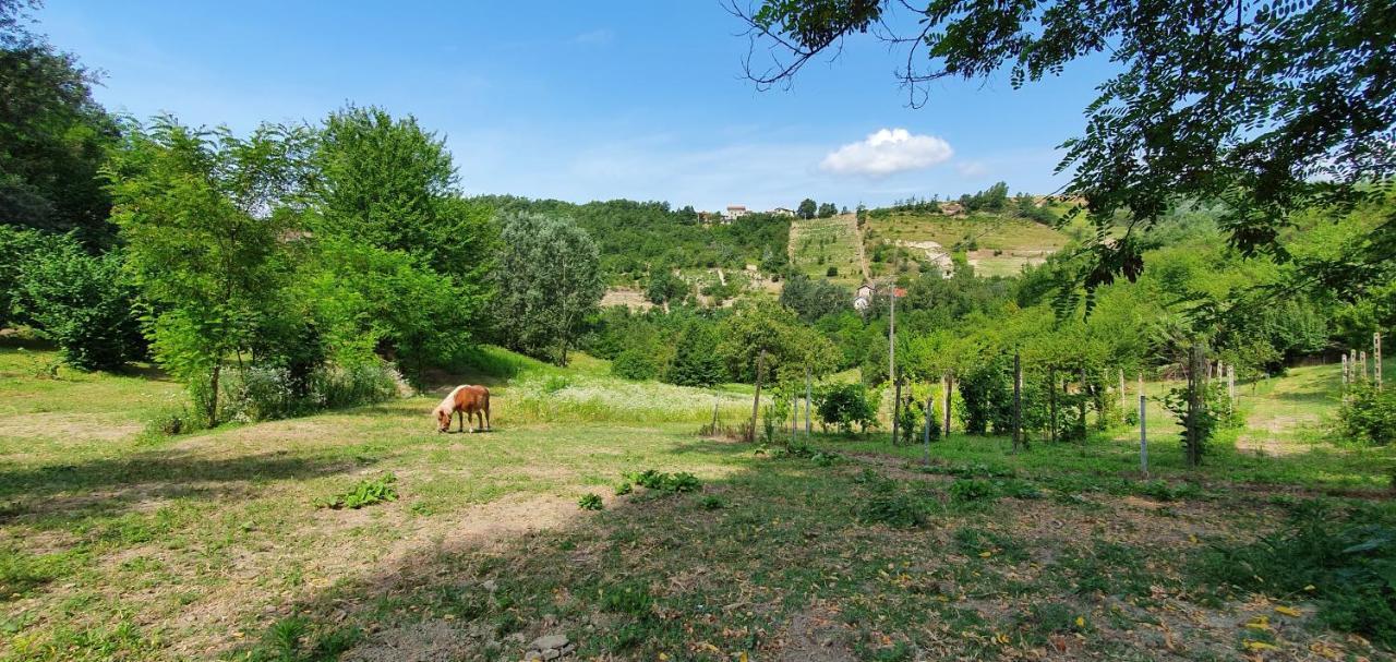 Agriturismo Il Burlino Apartments Lerma 외부 사진