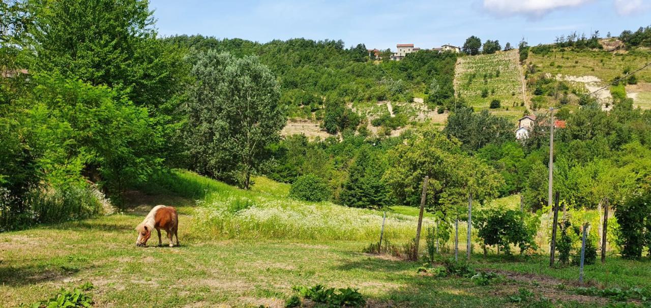 Agriturismo Il Burlino Apartments Lerma 외부 사진