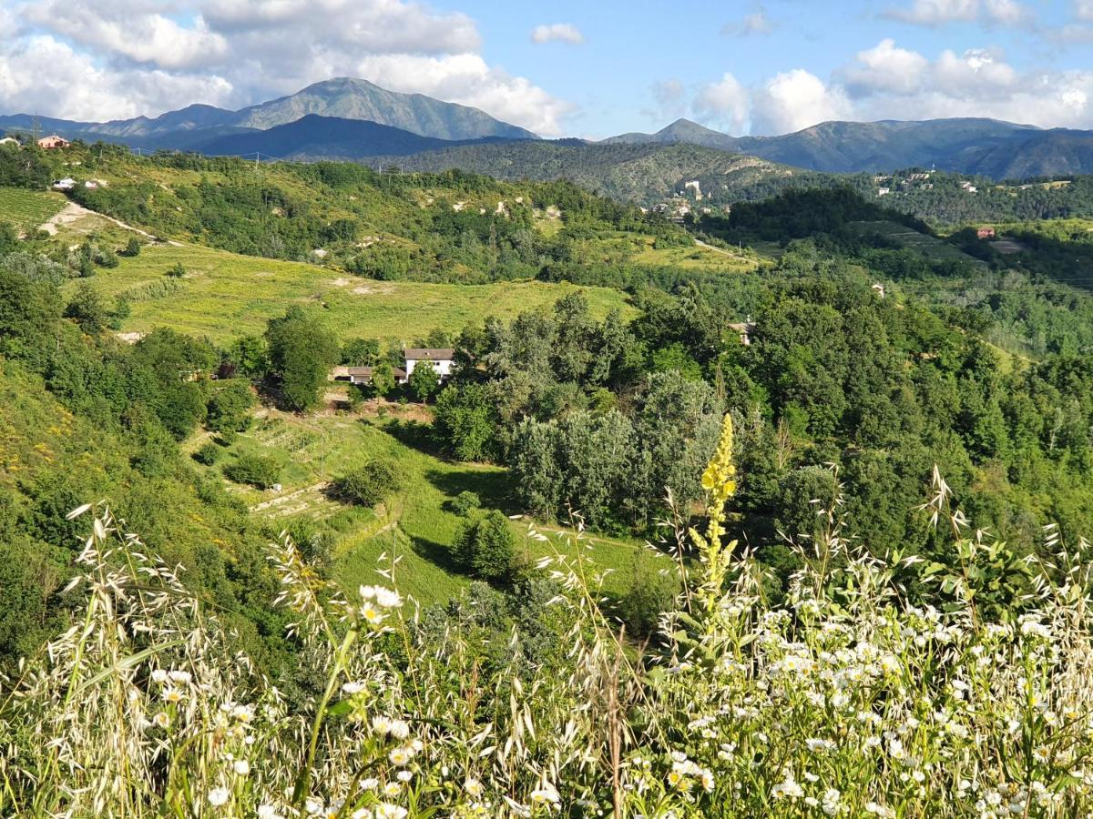 Agriturismo Il Burlino Apartments Lerma 외부 사진